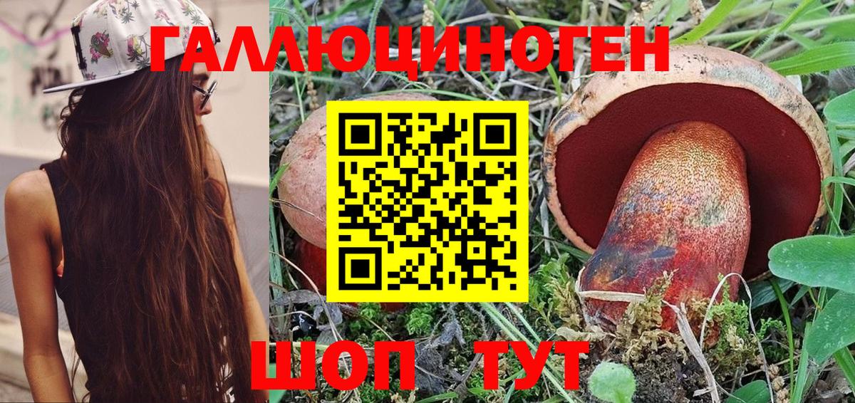 Острогожск  где продают   Вход с VPN  Галлюциногенные грибы Cubensis 